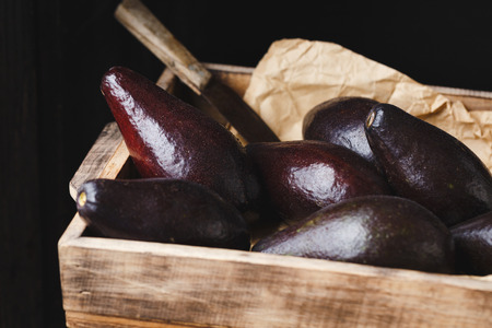 Avocado fruitsの写真素材