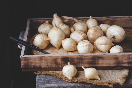 Fresh Yam beansの写真素材