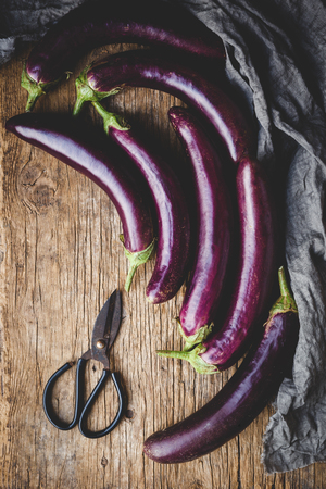 Fresh eggplantsの写真素材