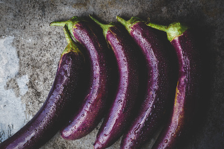 Fresh eggplantsの写真素材
