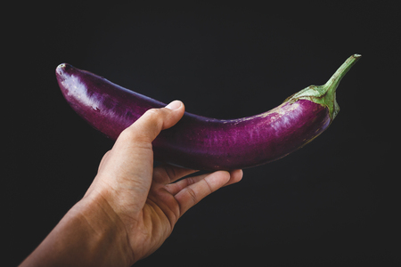 Fresh eggplantの写真素材
