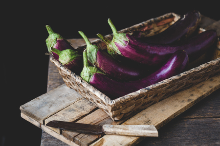 Fresh eggplantsの写真素材