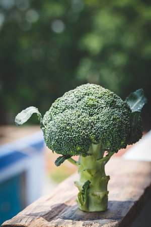 Fresh broccolisの写真素材