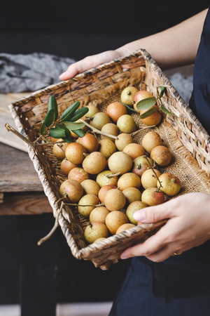 Fresh longan fruitsの写真素材