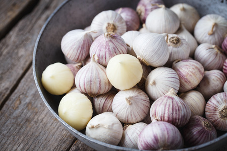 Solo Garlics- Single garlic clovesの写真素材