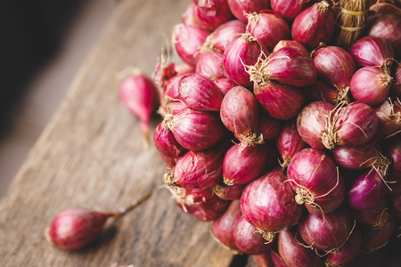 Shallots-Onionsの写真素材