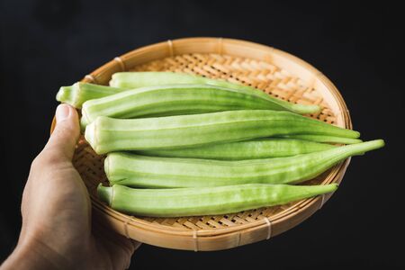 Fresh Okra-Lady fingersの写真素材