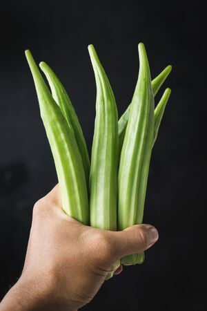 Fresh Okra-Lady fingersの写真素材