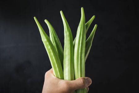 Fresh Okra-Lady fingersの写真素材