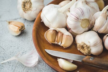Garlic bulb-Garlic cloveの写真素材