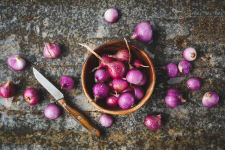 Fresh shallots on the dark backgroundの写真素材