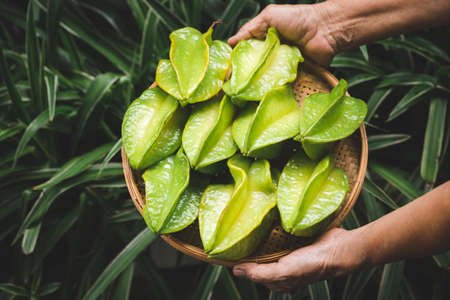 Fresh starfruit- Healthy fruit
