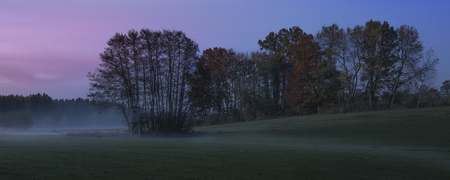 Trees in autumn fogの写真素材