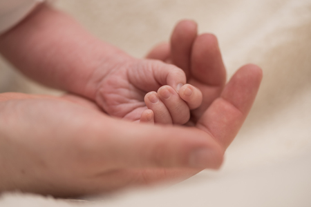 Mother holding baby handの写真素材