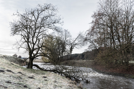 Landscape with brook at rime in autumn - AllgÃ¤u in Bavaria Germanyの写真素材