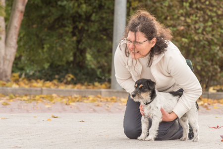 Jack Russell Terrier - dog training with fun motivated dogの写真素材