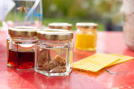 various products such as propolis, honey wax plates against blurred green backgroundの写真素材