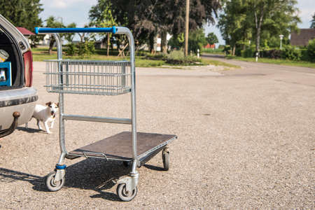 Shopping cart is standing by the car. Cute dog at the vehicleの写真素材