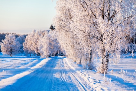 Small country road in winter on a sunny day