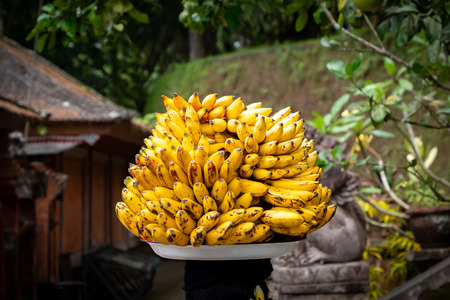 Closeup of a tray of  bananas carried on a woman's headの写真素材
