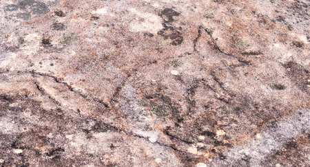 Aboriginal rock carving art in Royal National Park in Sydneyの写真素材