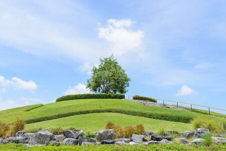 A Park at Royal Flora Park. The famous public park in chiangmai , Thailand.