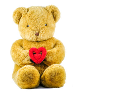 Bear with heart on white background.の写真素材