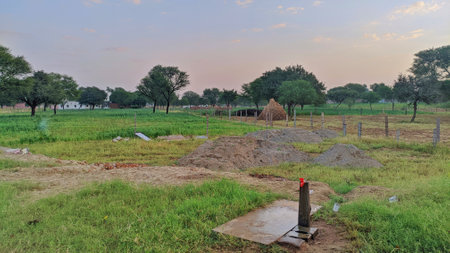 Morning time, Scenery green park and beautiful grass fieldの写真素材