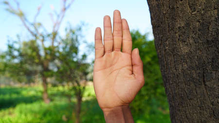 Hand gesture to stop or prohibition style. Isolated shot of hand to prevent to somebody for working.