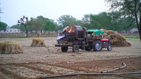 08 April 2021- Akhepura, Sikar, India. Tractor with thrasher machine in a field. Wheat or Rye harvesting season concept.のeditorial素材