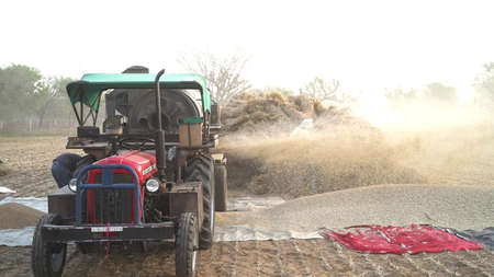08 April 2021- Akhepura, Sikar, India. Agriculture industry concept. Modern thresher machine working in a field with a straw husk blow storm.のeditorial素材