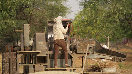 08 April 2021- Akhepura, Sikar, India. Indian farmer separating husk and wheat grains using a thresher machine.のeditorial素材