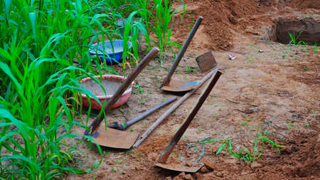 Agriculture tools, tools on fertile soil texture background seen from above, top view. Gardening or...