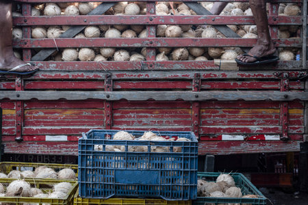 Salvador, Bahia, Brazil - January 10, 2019: Men unloading coconuts from a truck at the SÃ¢o Joaquim fair.のeditorial素材