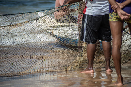 Salvador, Bahia, Brazil - May 23, 2021: Fishermen pulling the fishing net from the sea with fish...