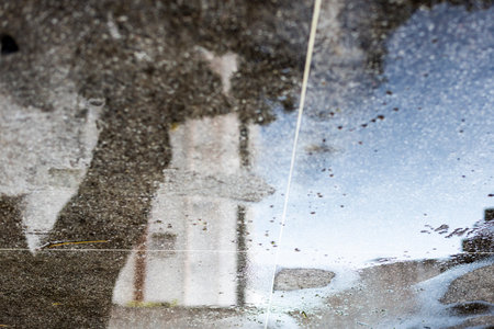 Reflection of buildings and trees in a pool of water. Salvador, Bahia, Brazil.の写真素材
