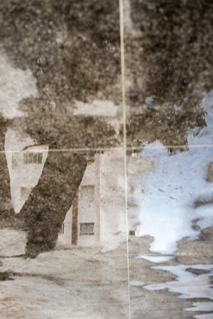 Reflection of buildings and trees in a pool of water. Salvador, Bahia, Brazil.の写真素材