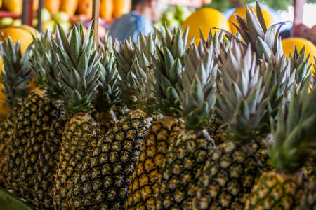 pineapples in a row for sale at a stall at the open market. CamaÃ§ari, Bahia, Brazil.の写真素材