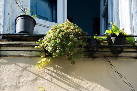 Old window details in color. Pelourinho, Salvador, Bahia, Brazil.の写真素材