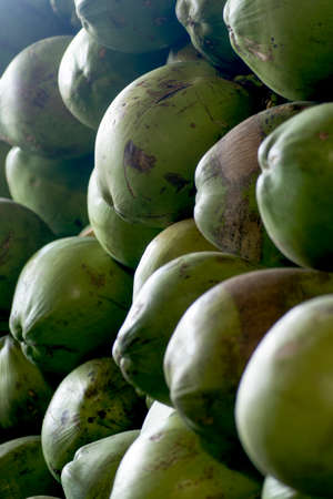 Lots of green coconuts for sale at a stall in the open market. CamaÃ§ari, Bahia, Brazil.