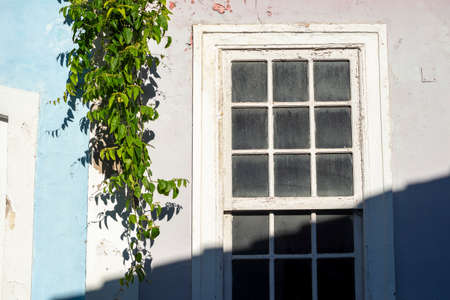 Old window details in color. Pelourinho, Salvador, Bahia, Brazil.の写真素材