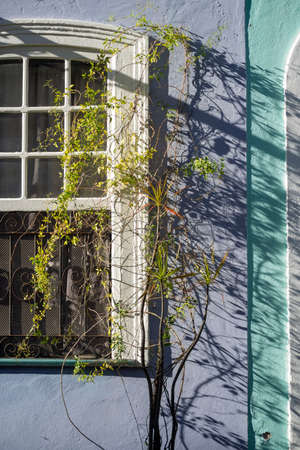 Old window details in color. Pelourinho, Salvador, Bahia, Brazil.の写真素材