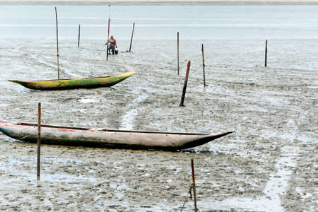 Sao Francisco do Conde, Bahia, Brazil - January 26, 2016: Shellfish gatherers in search of financial support and food for their family.のeditorial素材