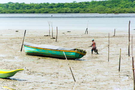 Sao Francisco do Conde, Bahia, Brazil - January 26, 2016: Shellfish gatherers in search of financial support and food for their family.のeditorial素材