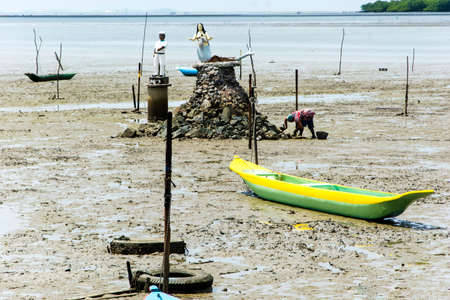 Sao Francisco do Conde, Bahia, Brazil - January 26, 2016: Shellfish gatherers in search of financial support and food for their family.のeditorial素材