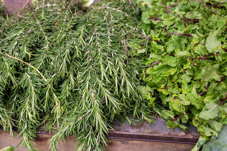 Seasoning plants and leaves for sale at the famous and grandiose SÃ£o Joaquim fair. Salvador, Bahia, Brazil.の写真素材