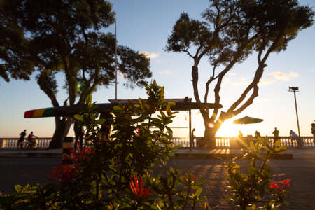 Salvador, Bahia, Brazil - June 17, 2021: Sunset silhouette of flowers, leaves, trees, bus stop and people on the edge of Porto da Barra in Salvador.のeditorial素材