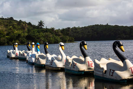 Salvador, Bahia, Brazil - August 17, 2014: Goose-shaped boat in Pituacu Park.のeditorial素材