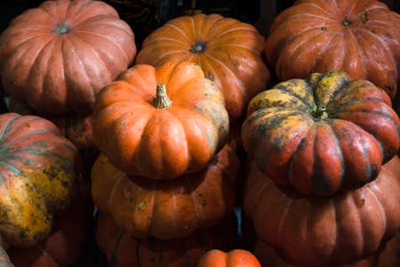 Yellow pumpkins for sale at the famous and grandiose SÃ£o Joaquim fair in Salvador, Bahia, Brazil.