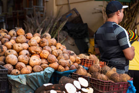 Salvador, Bahia, Brazil - June 29, 2019: Man with his back to the healthy and colorful fruits on sale at the Sao Joaquim fair. Salvador, Bahia, Brazil.のeditorial素材